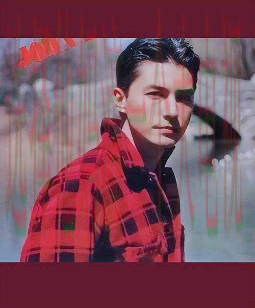 尊龙娱乐综合版全新升级体验